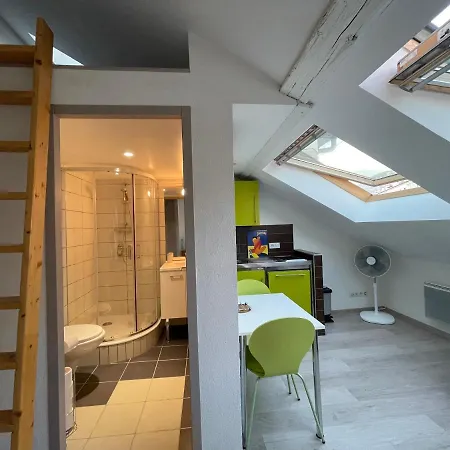 Apartment Sous Les Toits Centre-ville *